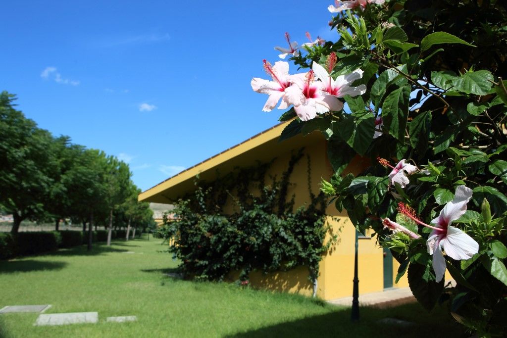 Marina Del Marchese Beach Resort Botricello Exterior foto